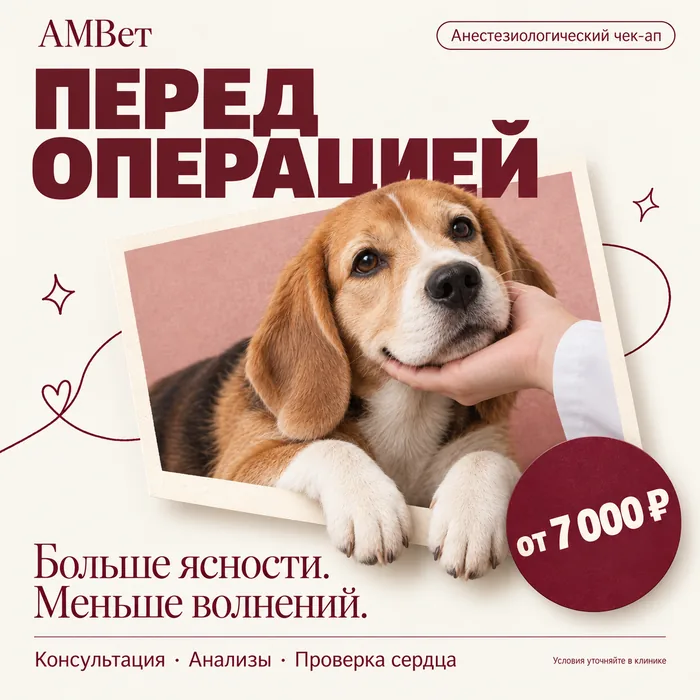 Анестезиологический чек-ап (проверка перед операцией)