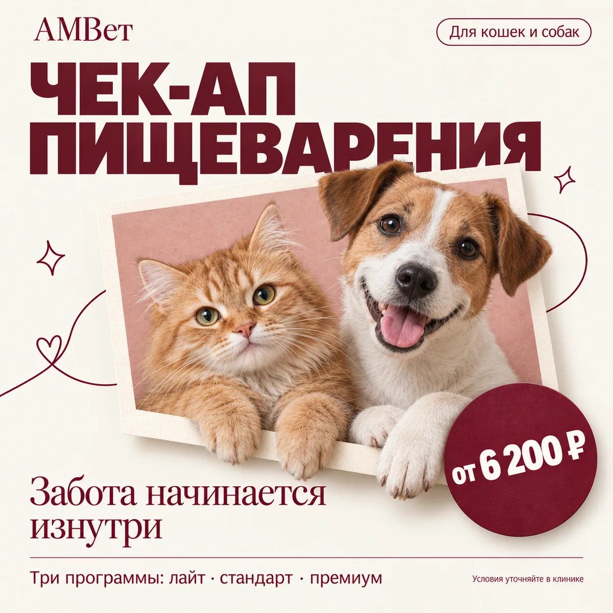 Гастроэнтерологический чек-ап для собак и кошек