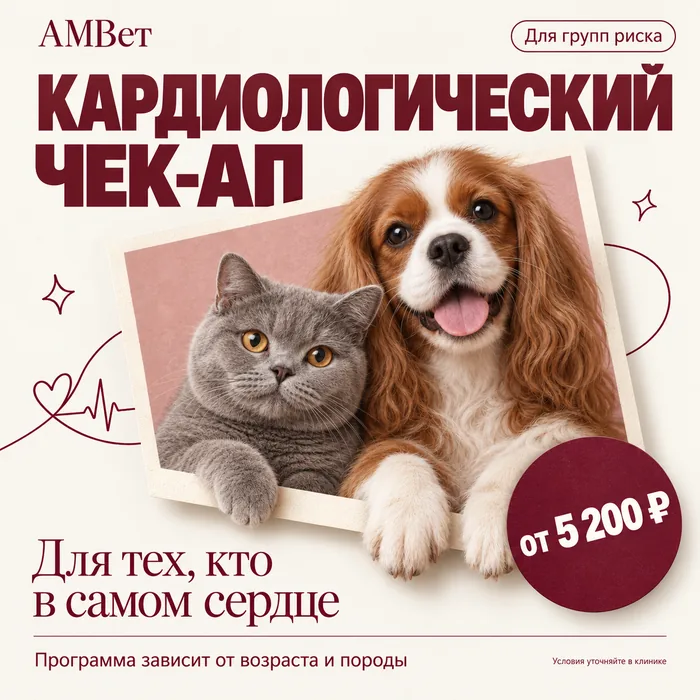 Чек-ап кардиологический