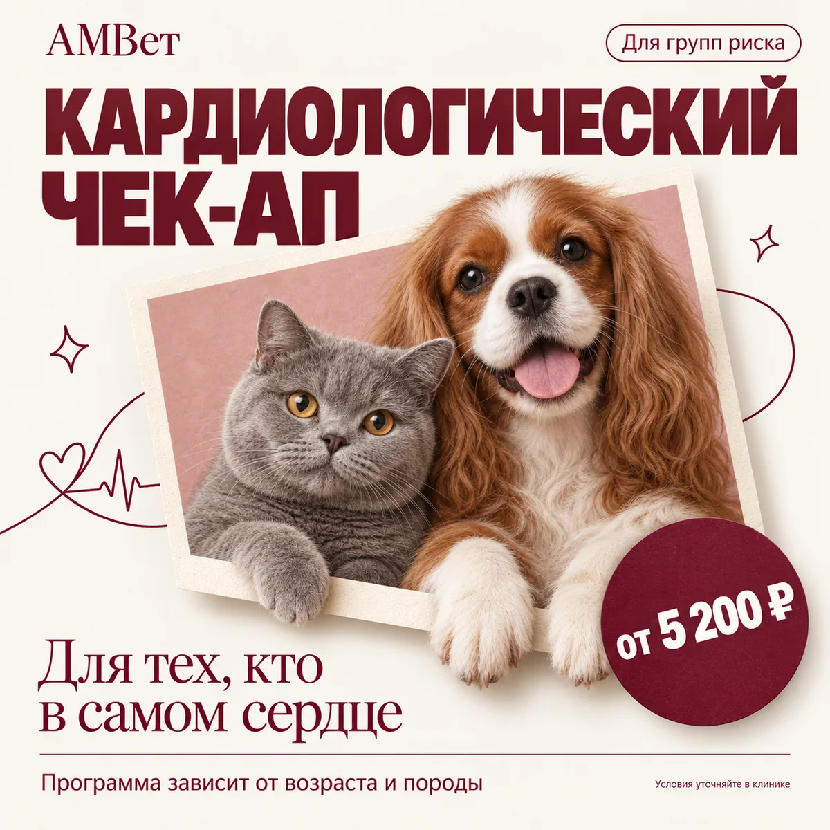 Чек-ап кардиологический