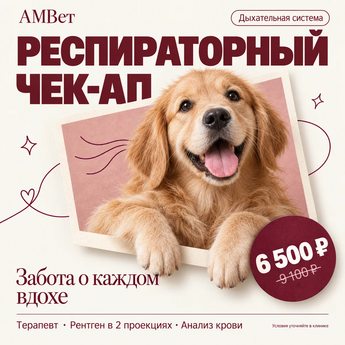Чек-ап респираторный