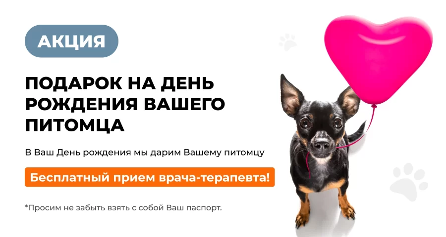 День рождения