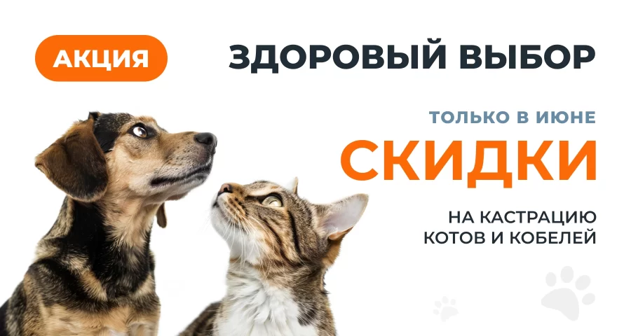 Кастрация котов и кобелей