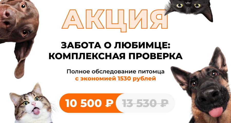 комплексная проверка