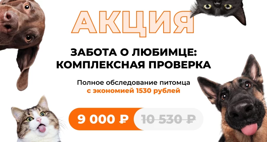 комплексная проверка