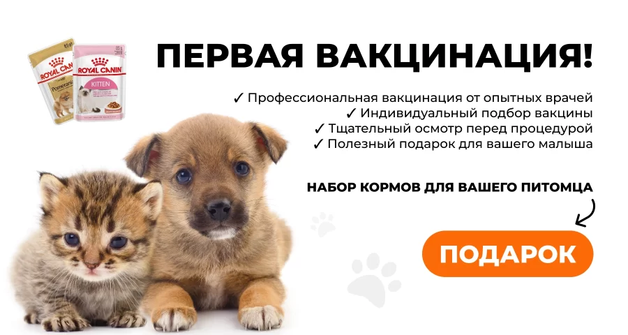 Первая вакцинация