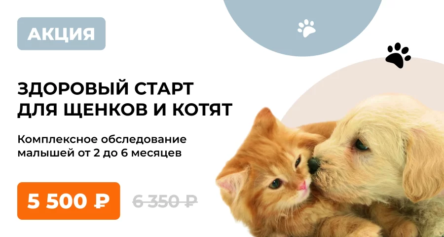 Здоровый старт
